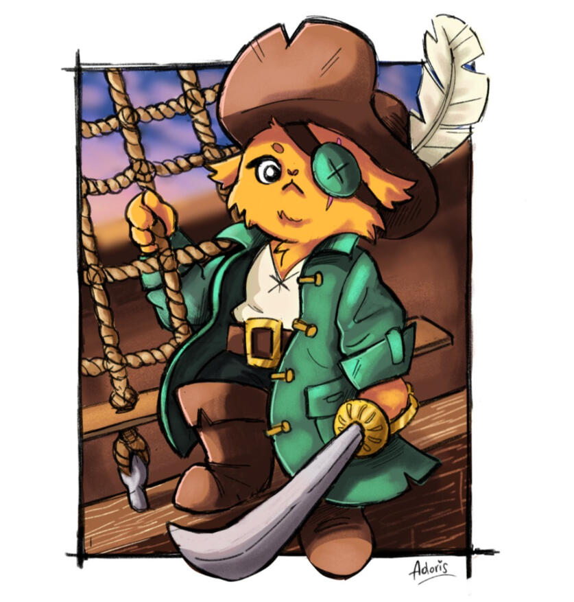 Pirate Cat